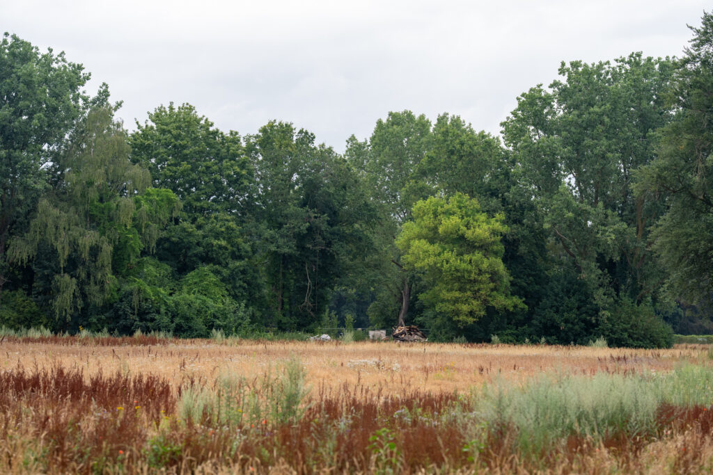 Huis A.L. Snijders gesloopt